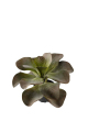 Konstvxt Kalanchoe 250